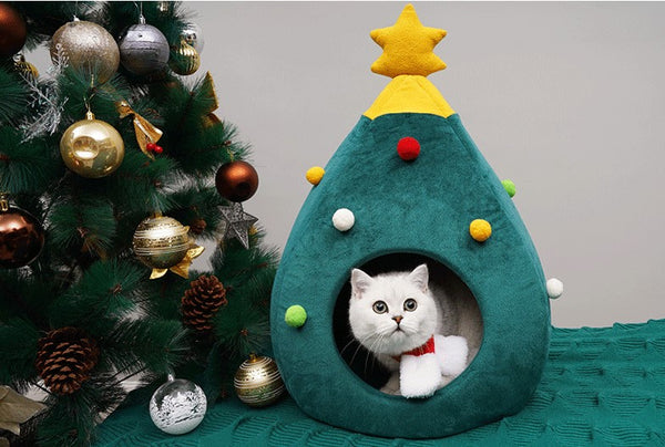 Christmas Lantern Cat House