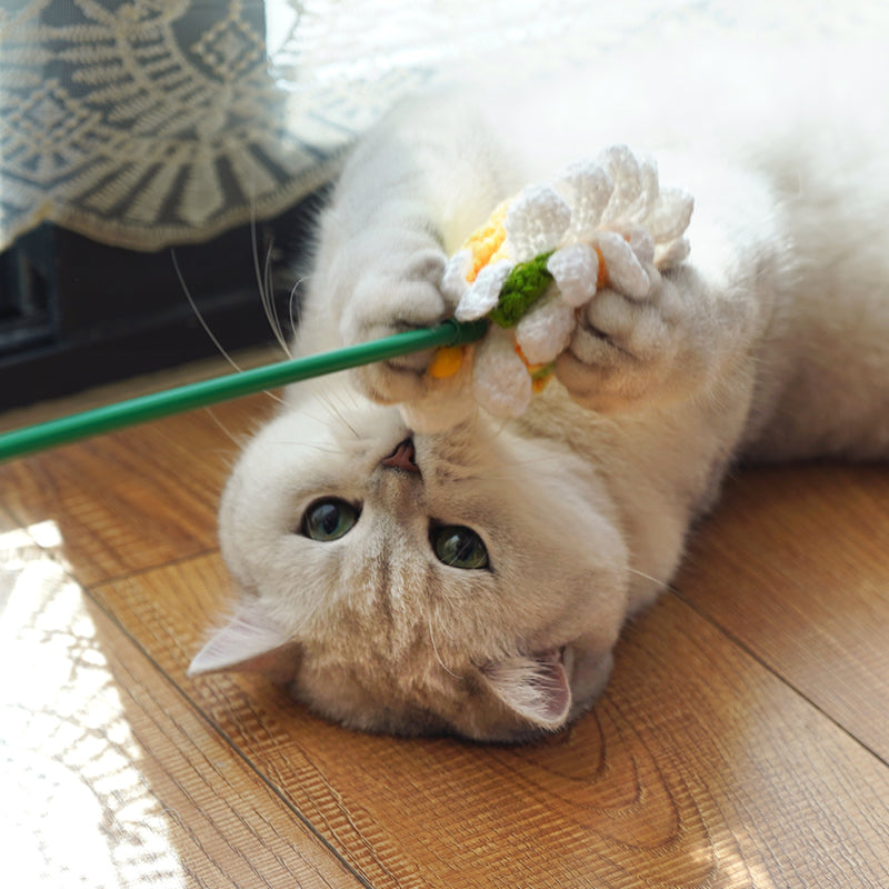 Flower cat wand