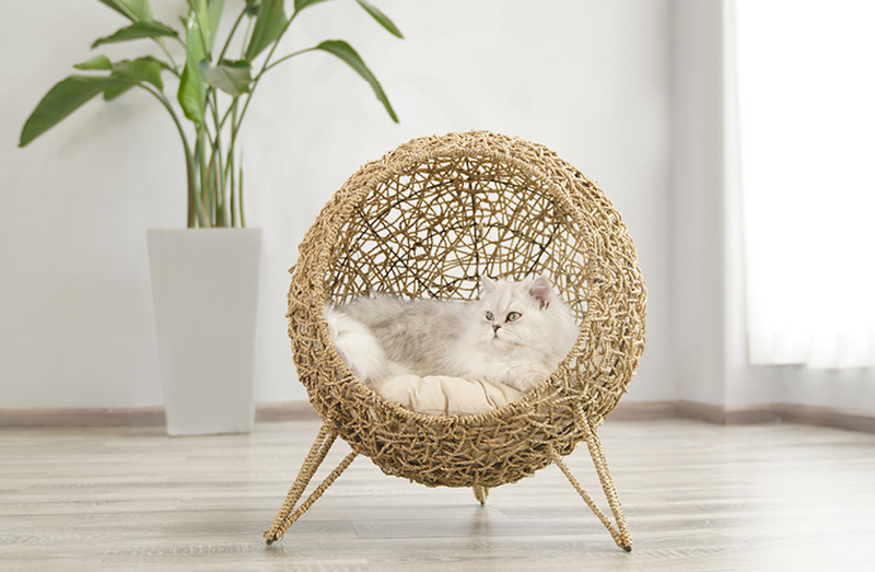 Home goods cat furniture best sale