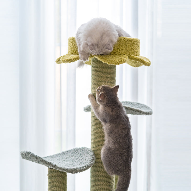 Daisy Floral  Multiple steps Cat Tree